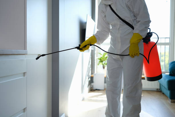 Best Office Mold Removal Services  in Hutchinson Island South, FL
