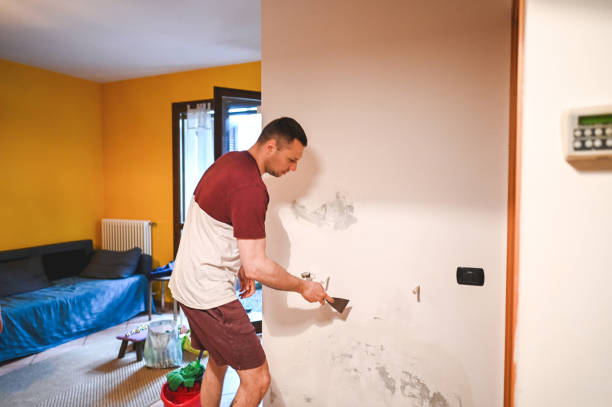 Best Commercial Mold Removal  in Hutchinson Island South, FL